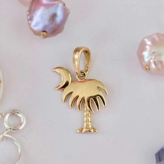 14K Gold Charleston Charm