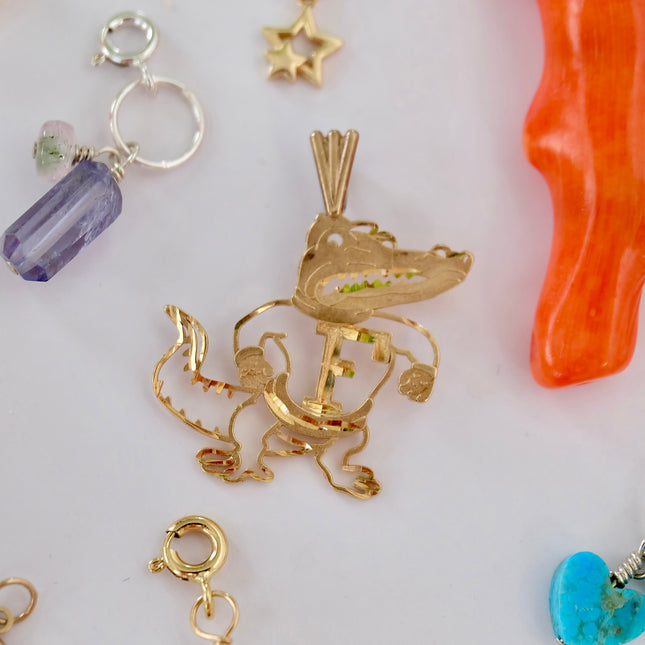 Florida Gators Charm