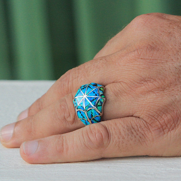 Blue Spider Net