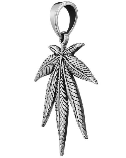 Sativa