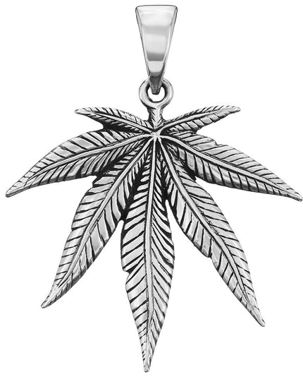 Sativa
