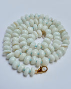 Robin's Egg Blue